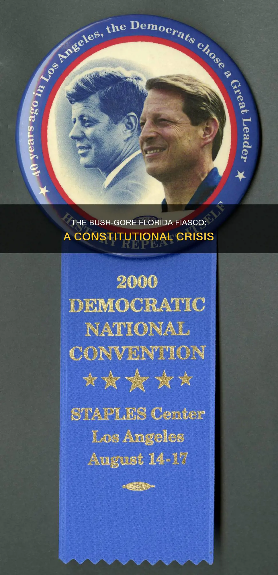 what was the constitutional issuue in bush v gore