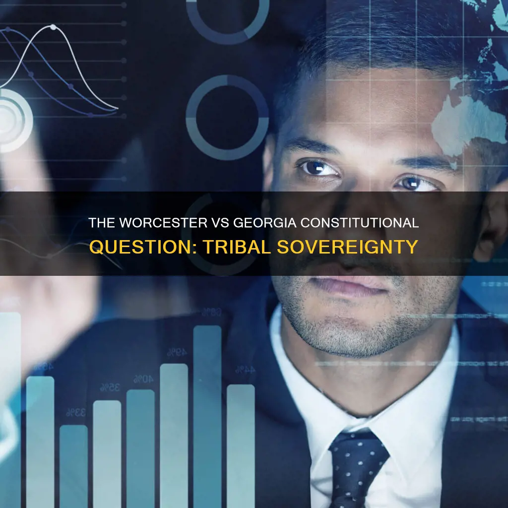 what was the constitutional question for the worcester vs georgia