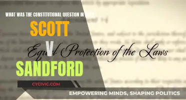 The Dred Scott Case: Understanding the Constitutional Question