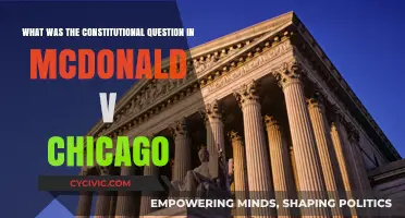 McDonald v. Chicago: The Right to Bear Arms