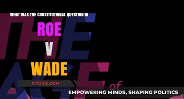 Roe v Wade: The Constitutional Question