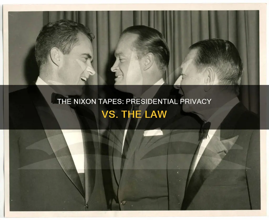 what was the constitutional question in us v nixon