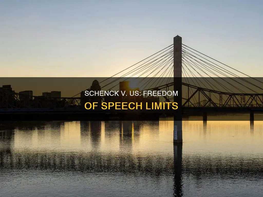 what was the constitutional question of scehenck v the us