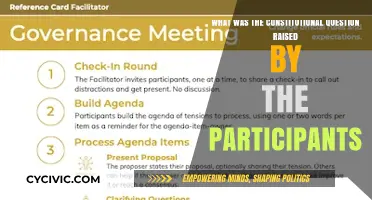 The Constitutional Question: Participants' Queries