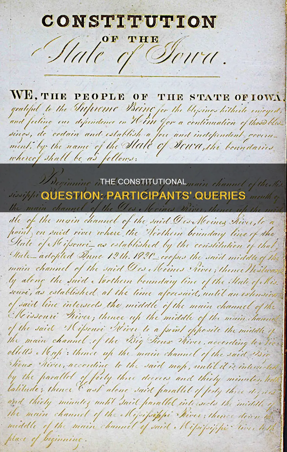 what was the constitutional question raised by the participants
