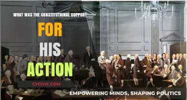 The President's Powers: Constitutional Support Explored