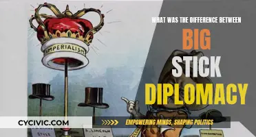 Big Stick Diplomacy: Unsheathing America's Foreign Policy