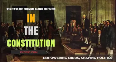 Founding Fathers' Constitutional Conundrum