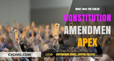 The Apex of Failed Amendments: What Went Wrong?