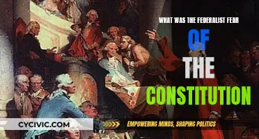 Federalist Concerns: Constitution's Potential Dangers and Their Legacy