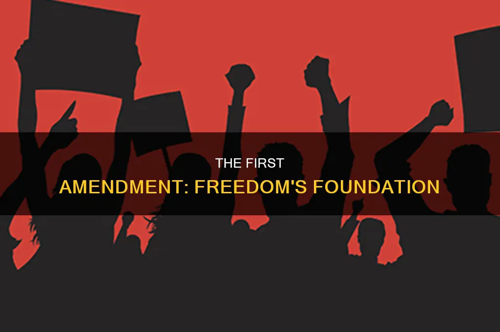 what was the first amendment of the constitution