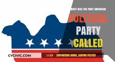 The Birth of American Politics: Unveiling the First Political Party