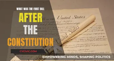 First Legislative Priority Post-Constitution: The Bill in Focus