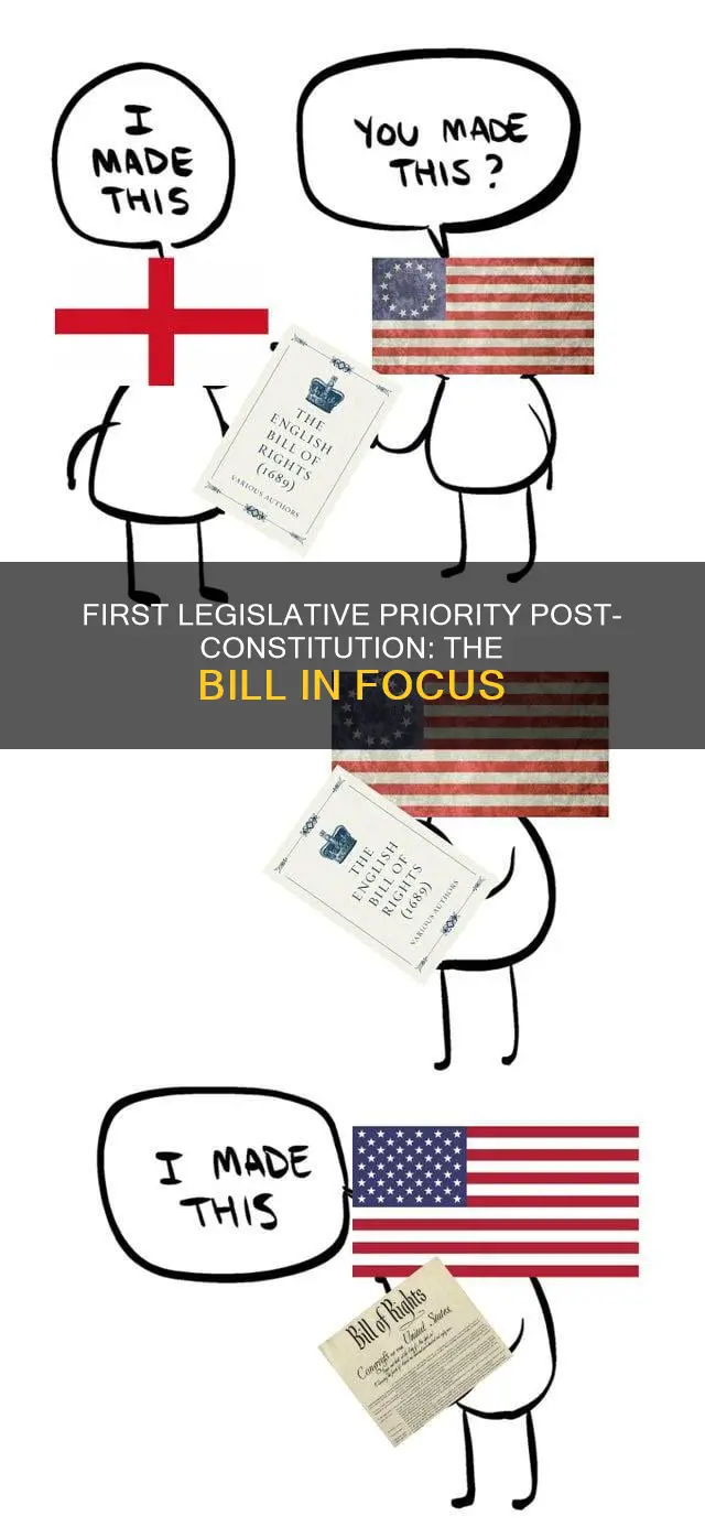 what was the first bill after the constitution