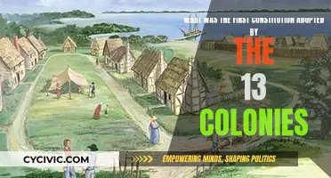 The First Constitution: 13 Colonies, One United Nation