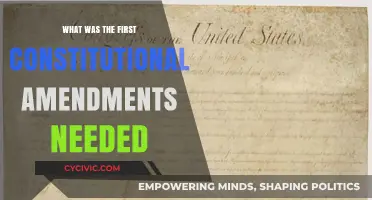 Constitutional Amendments: The First Necessary Changes