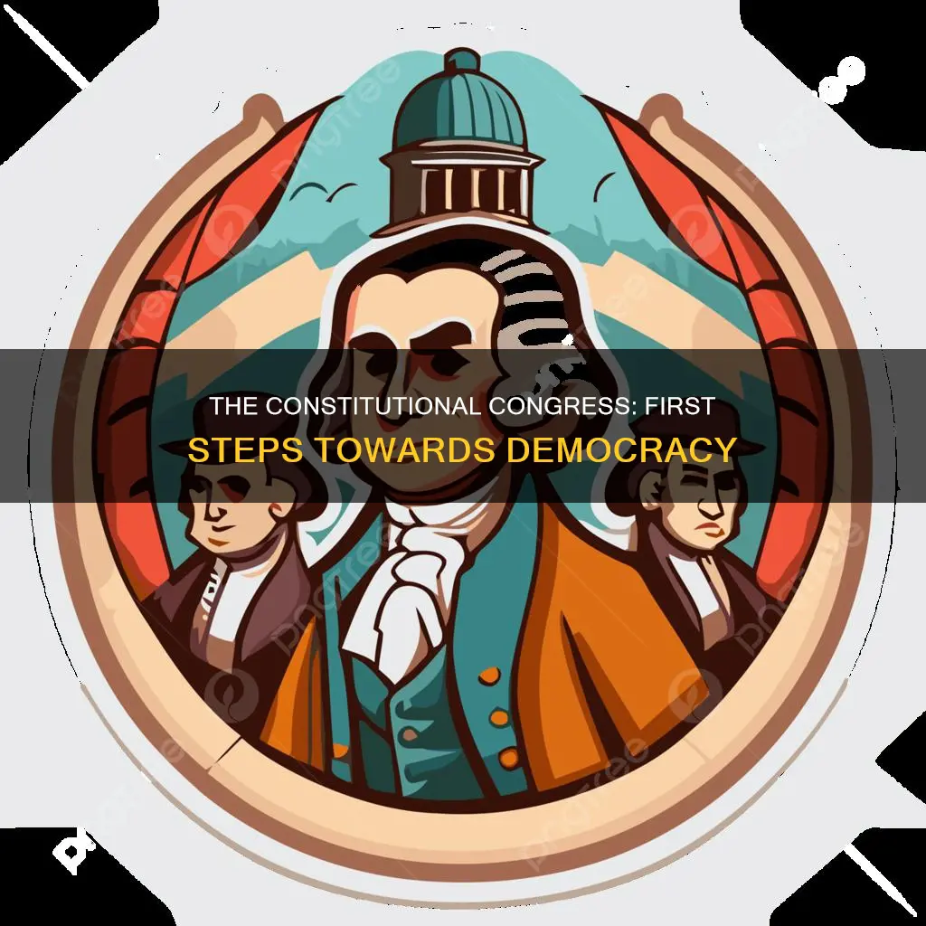 what was the first constitutional congress