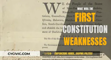 Founding Flaws: First Constitution's Weaknesses