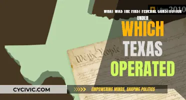 Texas' First Federal Constitution: What Was It?