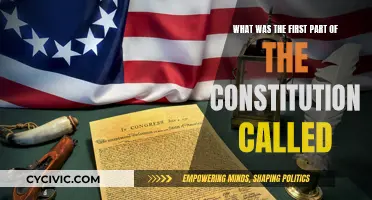 The Constitution's First Chapter: A Historical Overview