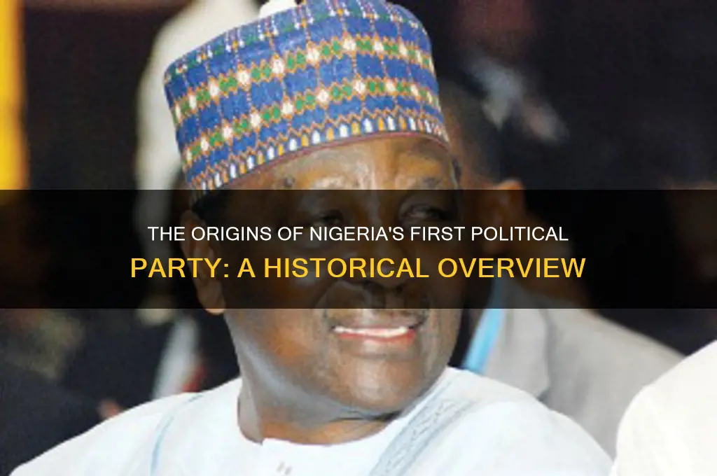 what was the first political party in nigeria