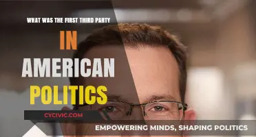 The Birth of Third Parties: America's First Political Alternative