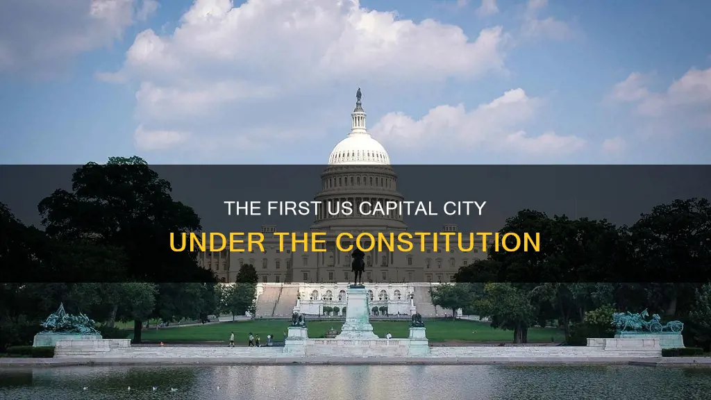 what was the first us capital under the constitution