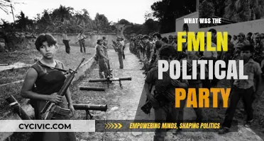 Understanding the FMLN: El Salvador's Revolutionary Political Party History