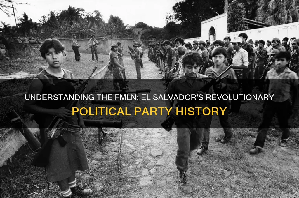 what was the fmln political party