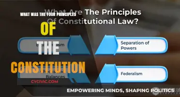 Foundational Principles of the US Constitution