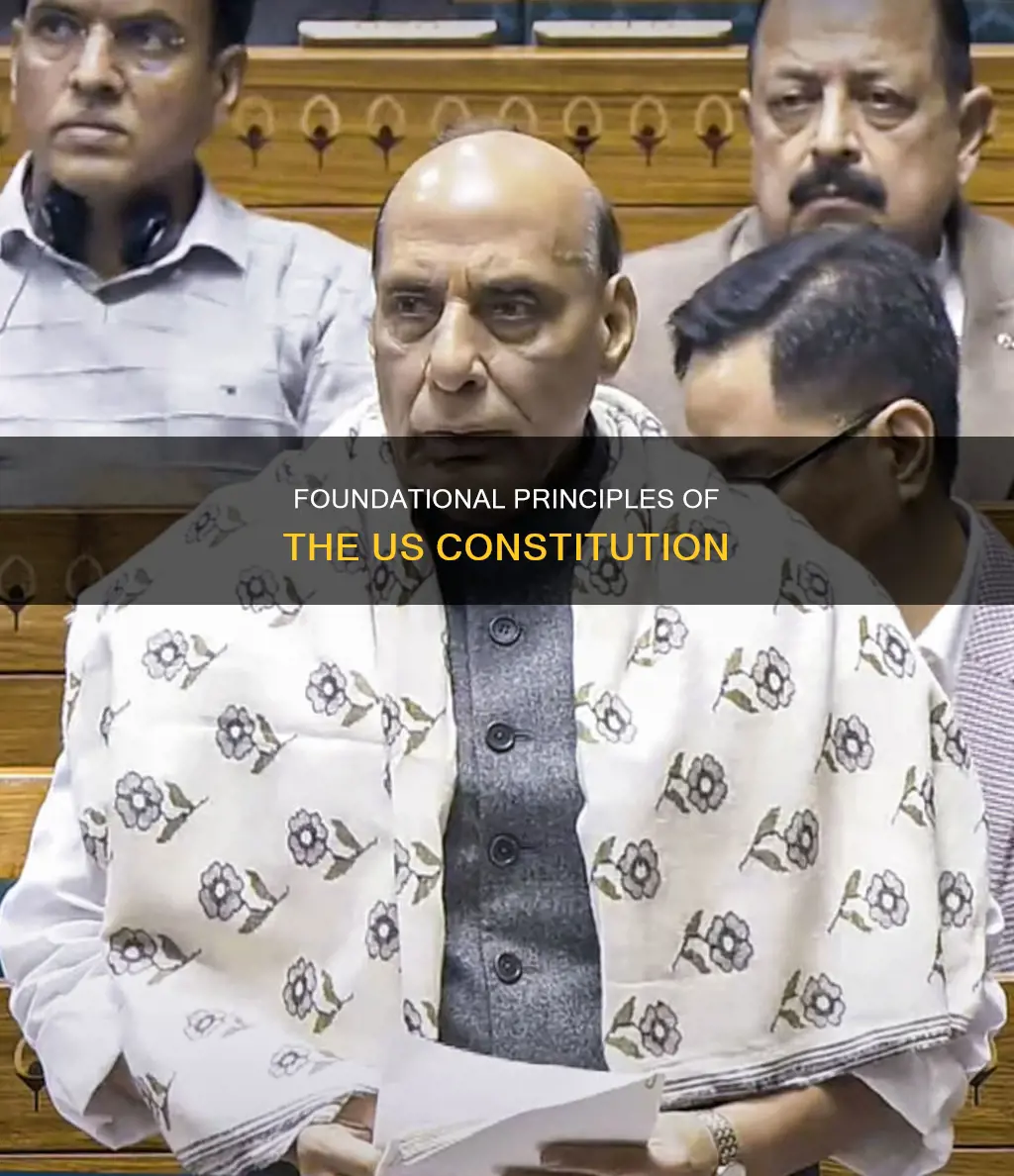 what was the four principles of the constitution