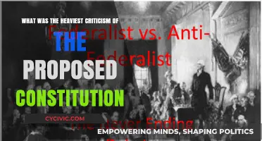 Criticism of the Constitution: Heaviest Hits