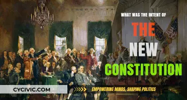 The Constitution's Intent: Freedom and Democracy