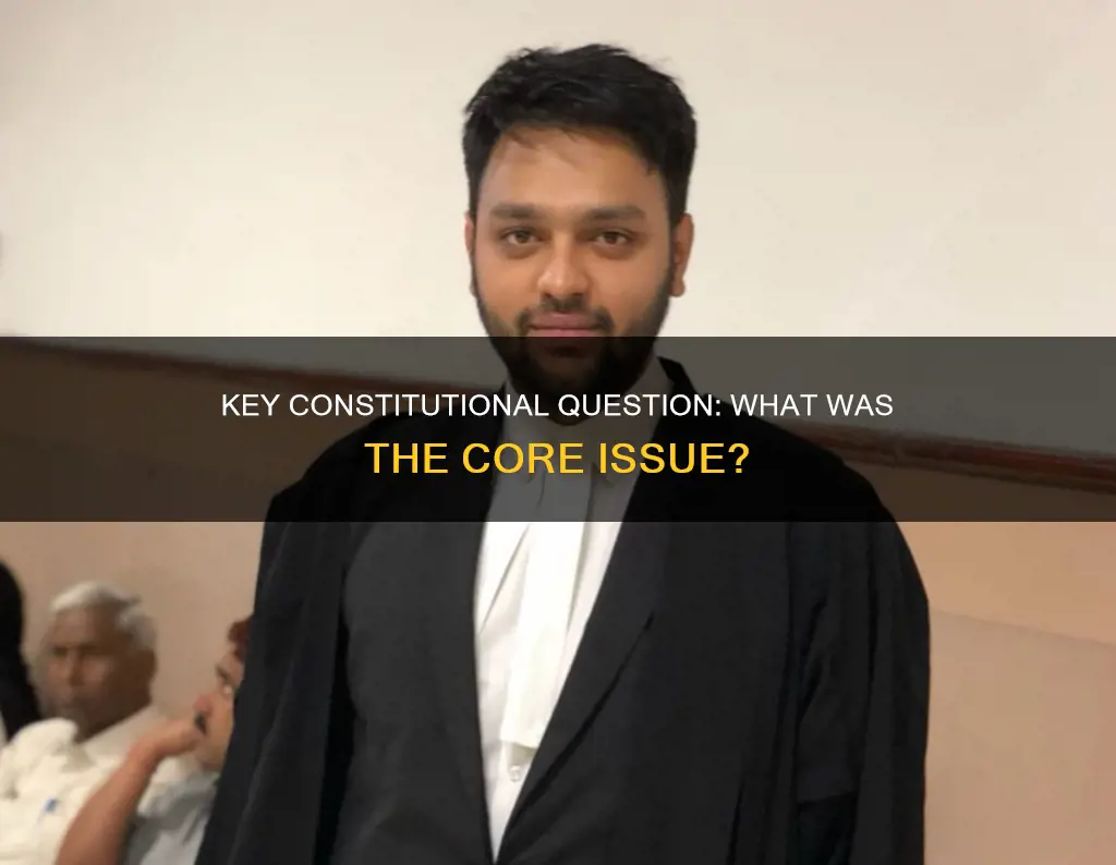what was the key constitutional question in the case