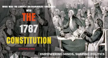 How Did the Antifederalists View the 1787 Constitution?