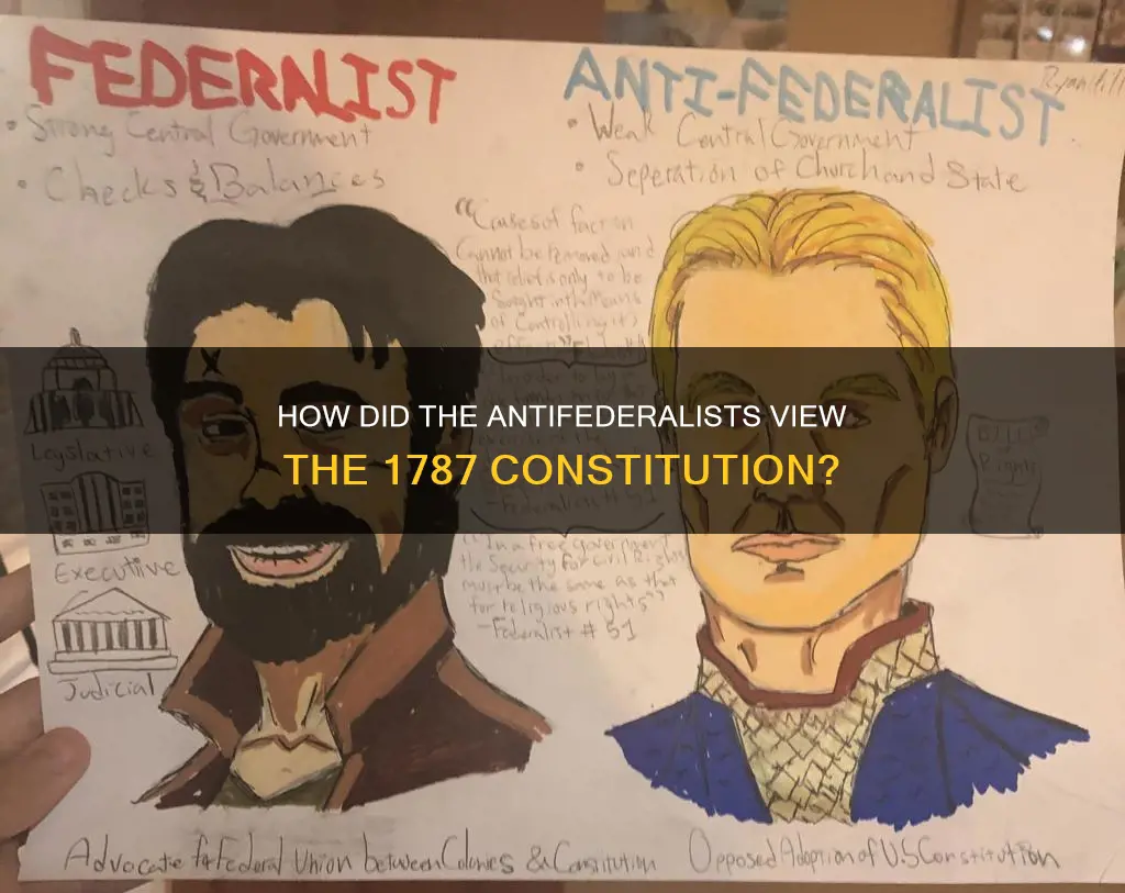 what was the largest antifederalist grievance with the 1787 constitution