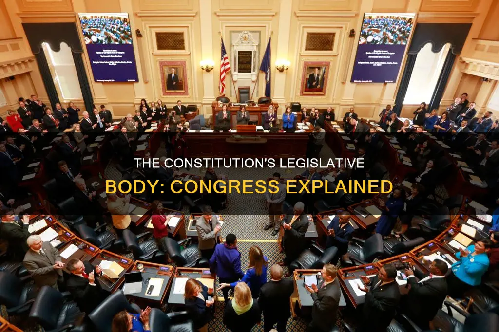 what was the legislative body created by the constitution