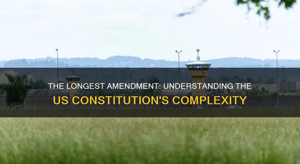 what was the longest section of the us constitution