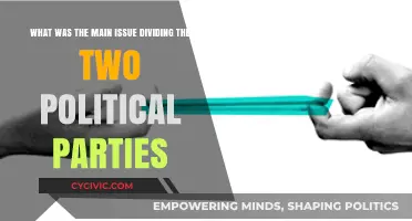 The Great Divide: Core Issues Splitting Political Parties Today