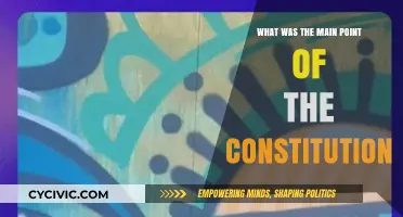 Founding Principles: The Constitution's Main Point