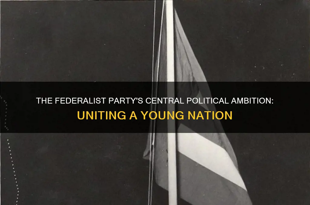 what was the main political goal of the federalist party
