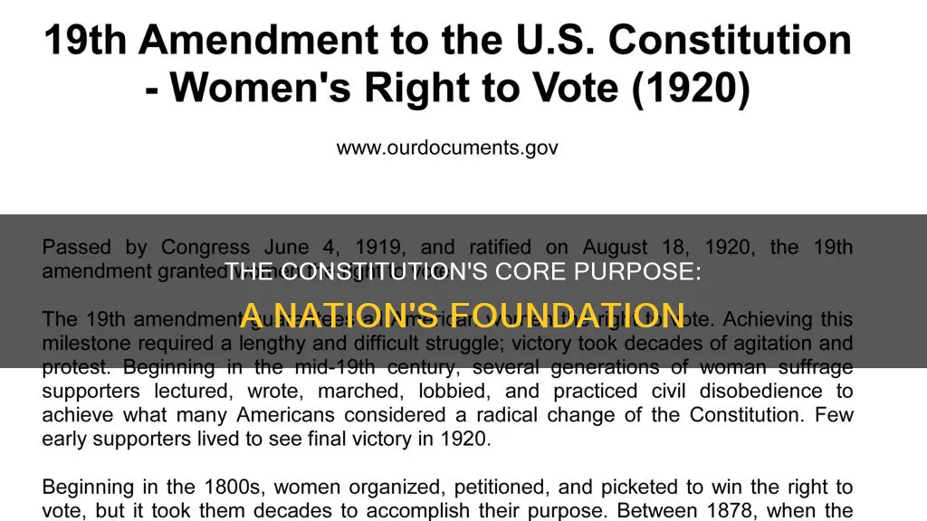 what was the main purpose of the constitution