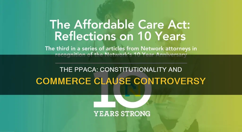 what was the major constitutional issue with the ppaca
