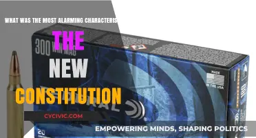 New Constitution's Most Alarming Feature: A Deep Dive