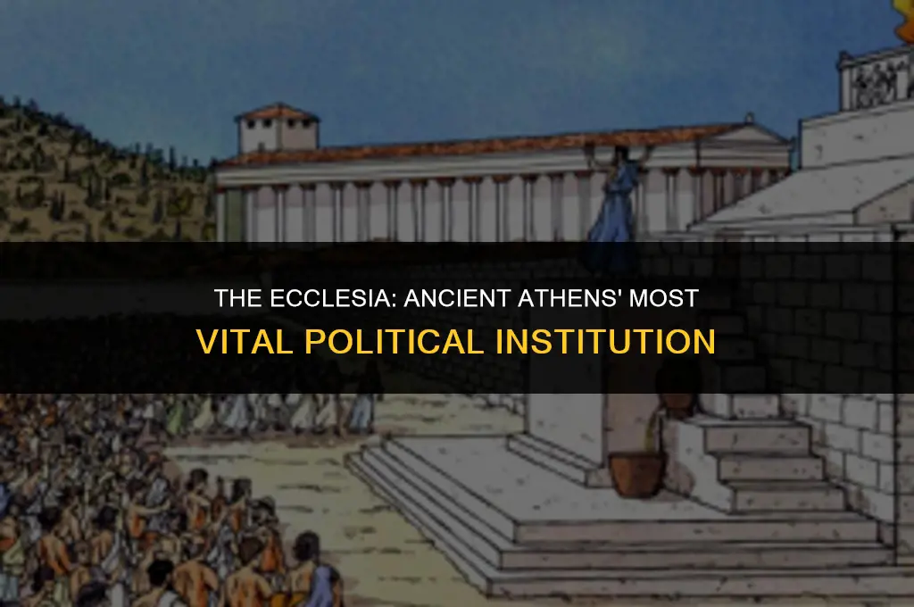 what was the most important political body in ancient athens