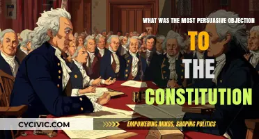 Objections to the Constitution: Most Persuasive Argument?