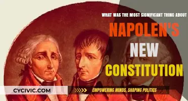 Napoleon's Constitution: A Significant Shift in Power Dynamics