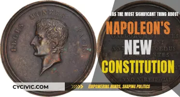 Napoleon's Constitution: A Significant Shift in Power Dynamics