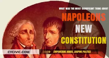 Napoleon's New Constitution: A Significant Shift in Power