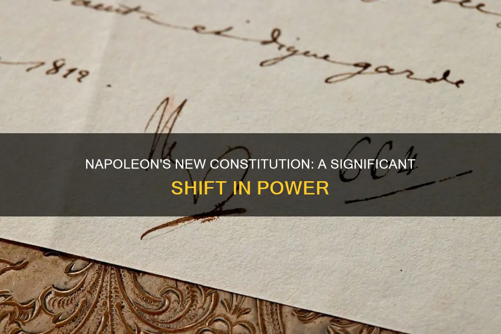 what was the most significant thing about napoleons new constitution